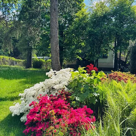 Odskocznia House Vila