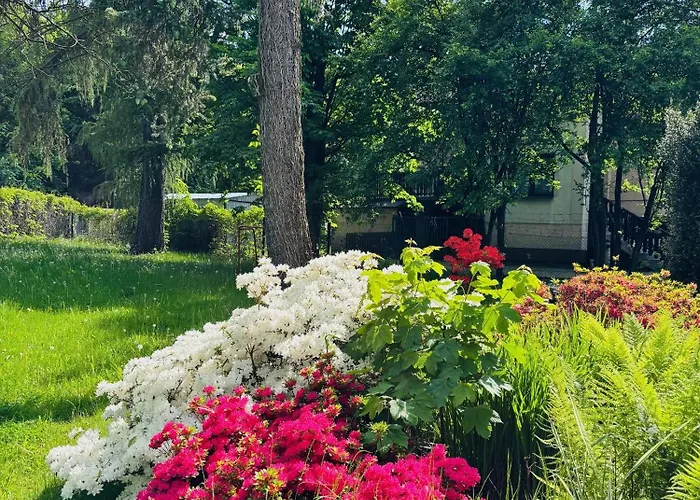 Odskocznia House וילה